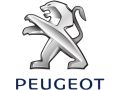 Peugeot 406 (8)